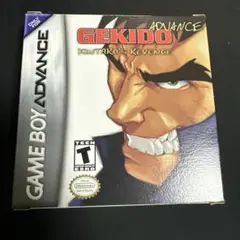 GEKIDO ADVANCE Kintaro's Revenge (GBA)