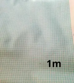 Item thumbnail for item 033978fc-73f7-4145-8208-f3228007f391