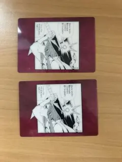 練紅覇 マギ カード