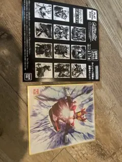 バンダイ 仮面ライダー 色紙　2枚セット
