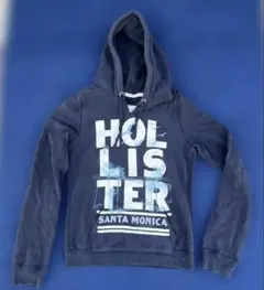 ホリスター★総柄ホリスター&サンタモニカ&かもめ柄★濃紺　Lサイズ