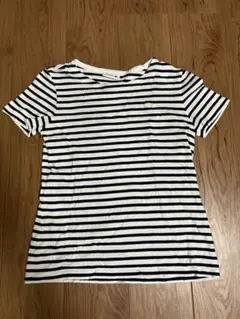 LACOSTE (ラコステ)ストライプ 半袖Tシャツ 36 sサイズのサムネイル