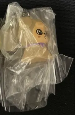 SKZOO めじるしアクセサリー＊パピム、パピーム