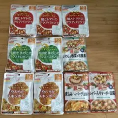 【離乳食】【ベビーフード】12ヶ月以上用　10袋