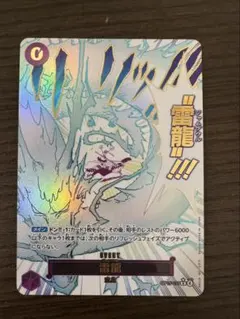 2026年最新】雷龍 Rパラレルの人気アイテム - メルカリ