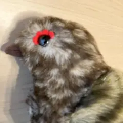 雷鳥のふる里 ぬいぐるみ HIROKUN HOUSEのサムネイル