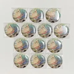 パラライ バースデー ホログラム缶バッジ 御子柴 賢太 14個セット パラライ バースデー ホログラム缶バッジ 御子柴 賢太 14個セット