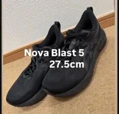 Asics Novablast5 27.5 cm WIDEのサムネイル