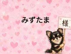 びたみん 様専用 ꒡̈⃝Lily꒡̈⃝犬服ハンドメイド - メルカリ