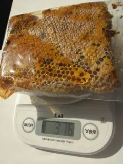 Item thumbnail for item 6ecfa1dd-cc2a-4276-a14e-fed05e7f59e9