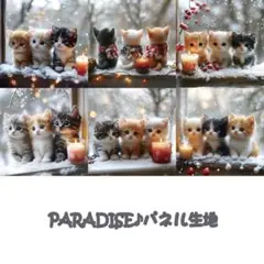 PARADISEパネル生地　 猫柄