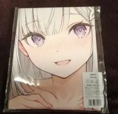 2026年最新】Re：ゼロから始める異世界生活バスタオルの人気アイテム