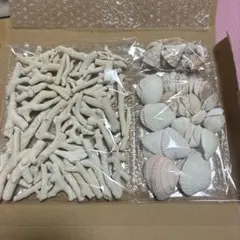 KSL_ resinart様 リクエスト 2点 まとめ商品