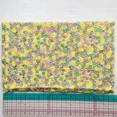 ミナペルホネン skyful