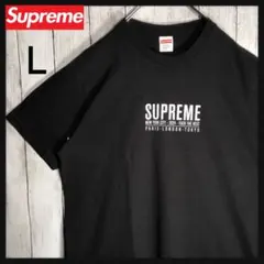 【希少モデル】シュプリーム ロゴプリント 希少サイズL tシャツ 半袖