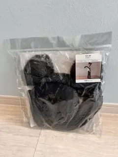 Item thumbnail for item 0e1543ab-c6e2-4522-be92-83b74ff755af