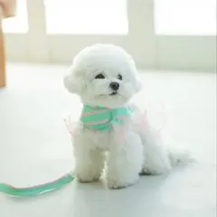 Item thumbnail for item c5a74770-5ffb-4a52-b252-bf4ae77e0955