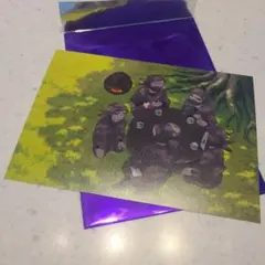 劇場版 忍たま乱太郎 ドクタケ忍者隊最強の軍師　入場特典　タソガレドキ忍者