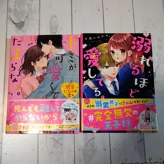 恋愛小説 2冊セット あいら