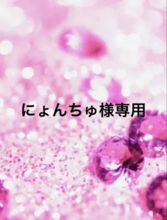 にょんちゅ様専用