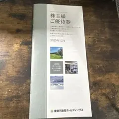 東京不動産ホールディングス　株主優待　100株