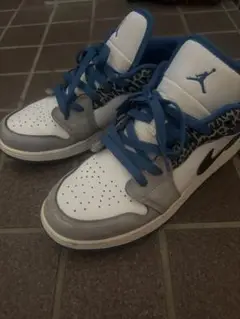 aj1 トゥルーブルー 25cm