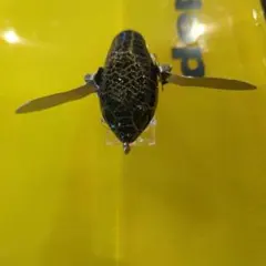 デプス deps バズジェット ブラッククラックのサムネイル