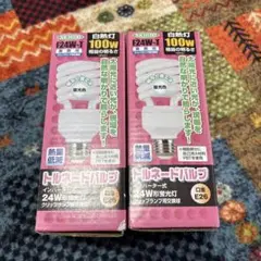 日動 蛍光交換球 24Ｗ F24W-T 2個セット