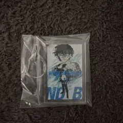 WINDBREAKER 一番くじ F賞 単行本アクリッツキーホルダー