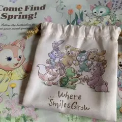 TDS ダッフィー Where Smiles Grow 巾着のみ