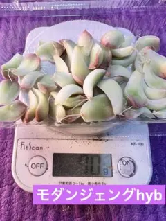 紫月様 リクエスト 4点 まとめ商品