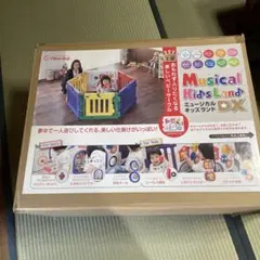 日本育児 ミュージカルキッズランドDX 6枚セット　カラフル
