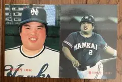 Item thumbnail for item 672f1d1d-b903-4dc2-a1dc-59a76a8e8fe4