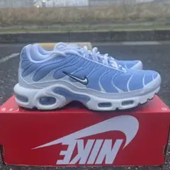 NIKE Air Max Plus ライトブルー/ホワイト