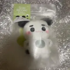 NCT127 テヨン 公式MD Som-Moong-Chill Keyring - メルカリ