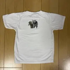 安野光雅　Tシャツ　くまのサムネイル