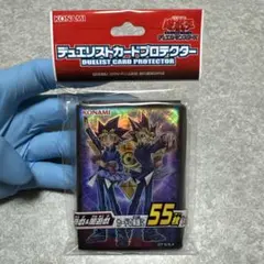 遊戯王OCG デュエリストカードプロテクター 武藤遊戯 海馬瀬人 2個