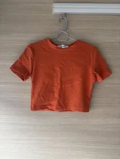 クロップド丈Tシャツのサムネイル