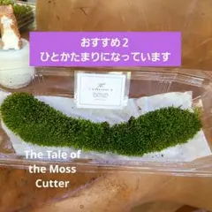 ribomaro様 リクエスト 2点 まとめ商品