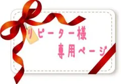 E.T様 リクエスト 3点 まとめ商品