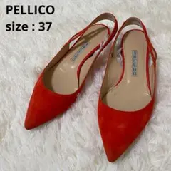 Item thumbnail for item f0305a71-e598-4258-a537-48dd660ea80b