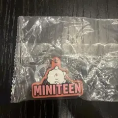 seventeen miniteen ウジ　めじるしアクセサリー