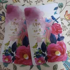 Item thumbnail for item fe171133-9ce6-4408-b3c5-ed75a8be0e10