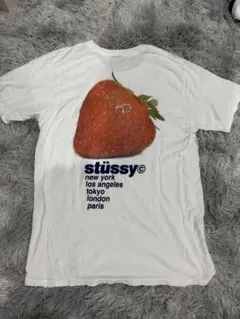 Item thumbnail for item 254641e3-2e94-48ef-8703-28e3b3e033db