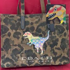 coach☆迷彩柄トートバッグ42 レインボー シグネチャーレキシー