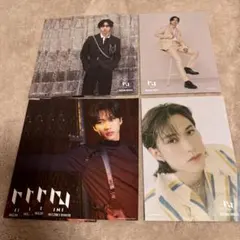 池崎理人 フライヤー10枚まとめ売り