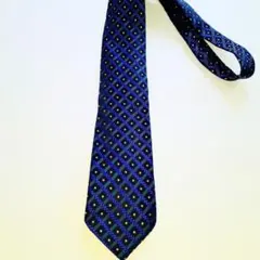 Item thumbnail for item 6e1dc670-cd89-44a9-b511-119cd8ae4029