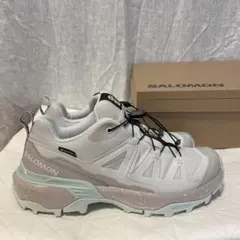 SALOMON スニーカー 富士山