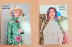 ミセス バベル フォトカ 藤澤 16番 49番 セット 【バラ売りも可】