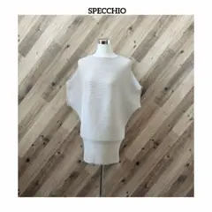 SPECCHIO スペッチオ ドルマン カットソー プリーツリブ 半袖のサムネイル